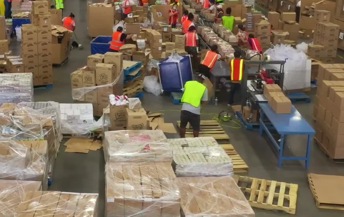 A packing line of workers in hi-vis vests moving cartons